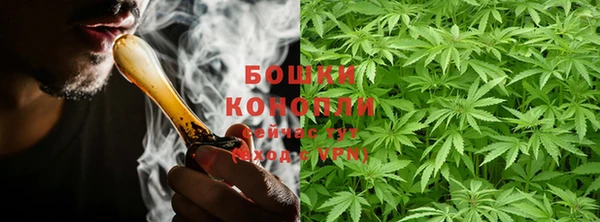 прущие грибы Баксан